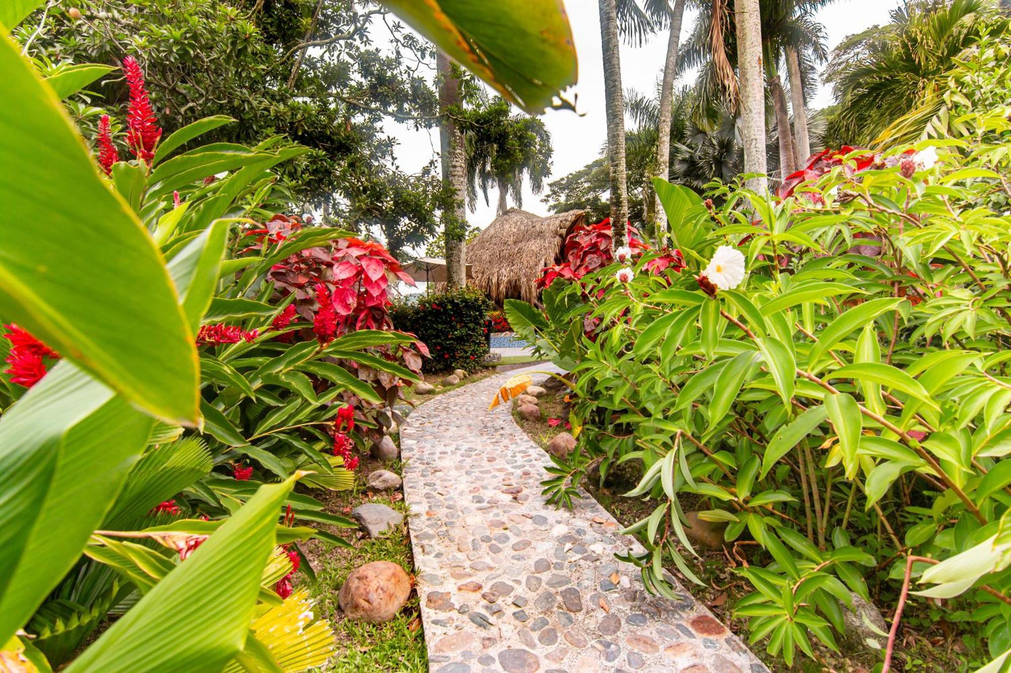 Portales Del Tayrona Garden Hotel Calabazo  Esterno foto